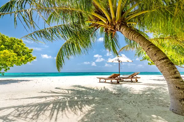 Tropical beach sunbeds at Aqua Dorado