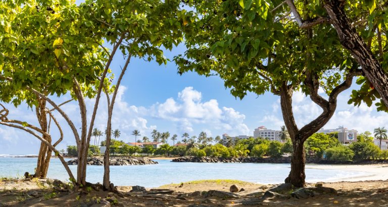 Playa en Dorado, Puerto Rico