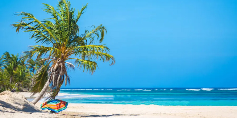 easy-access-stress-free-travel-aqua-dorado